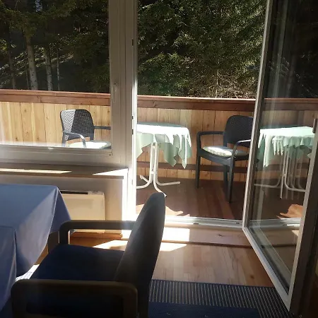 Comfort Bruckner 巴德加斯坦